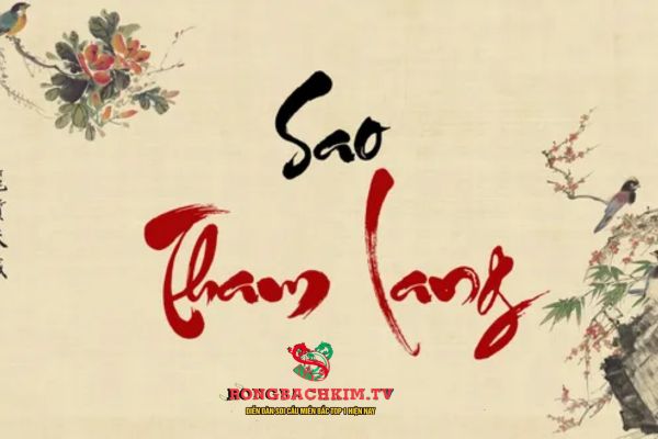 sao tham lang là gì