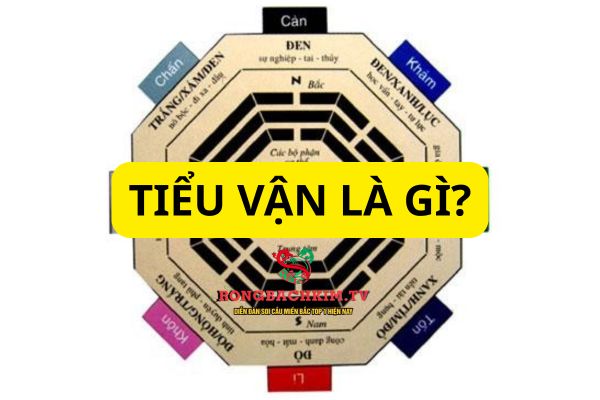 tiểu vận là gì
