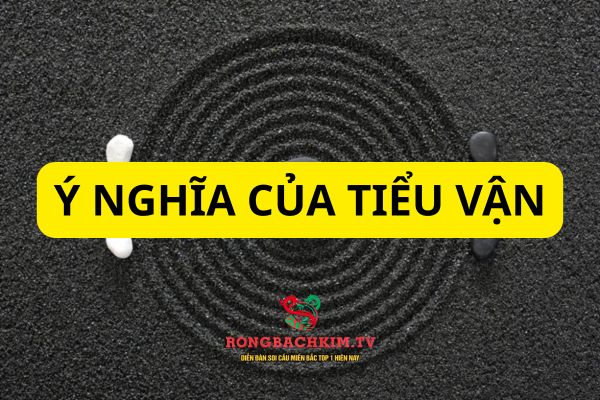 Thông qua tiểu vận có thể luận giải nhiều điều của lá số trong từng năm