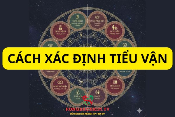 tiểu vận là gì