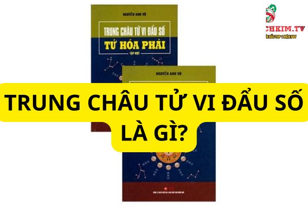 trung châu tử vi đẩu số
