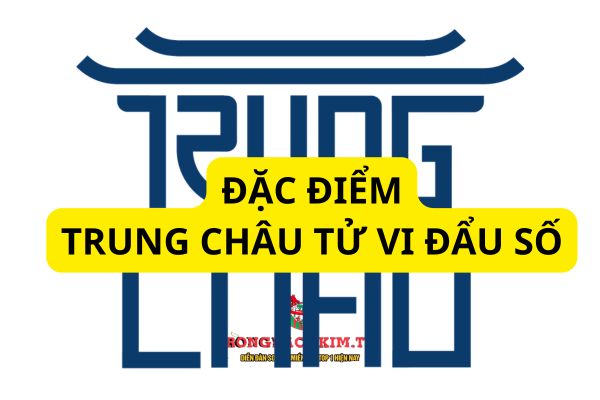 Phương pháp Trung Châu tử vi này sẽ dựa trên nhiều nguyên tắc để luận giải