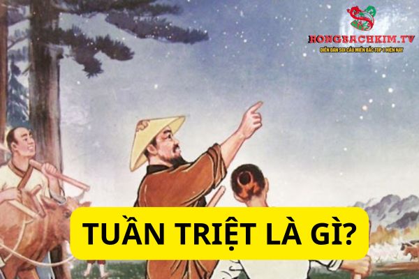 tuần triệt là gì