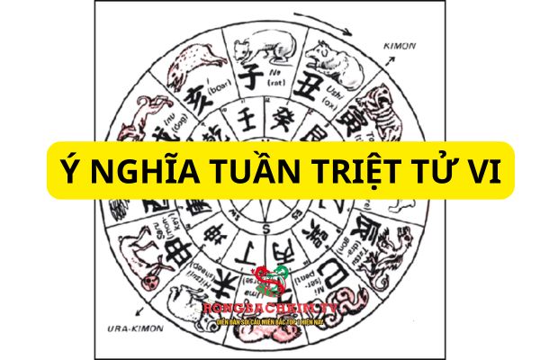 Dựa vào Tuần và Triệt sẽ góp phần luận giải lá số tử vi thêm chính xác hơn