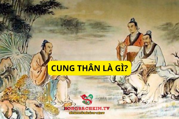luận giải cung thân
