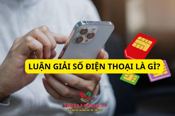 luận giải số điện thoại