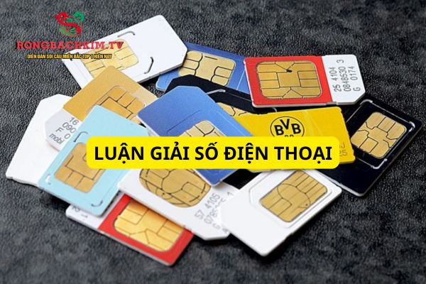 luận giải số điện thoại