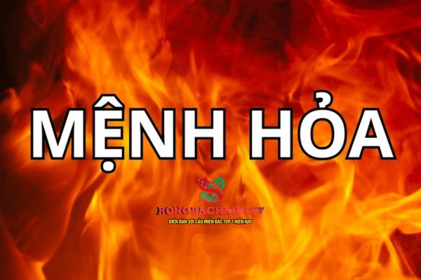 mệnh hoả hợp số nào