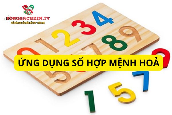 mệnh hoả hợp số nào