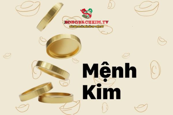 mệnh kim hợp số nào