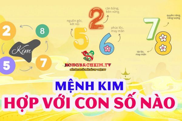 Theo phong thuỷ, mệnh Kim sẽ có những số hợp và kỵ khác nhau