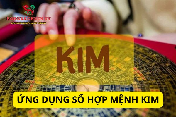 mệnh kim hợp số nào
