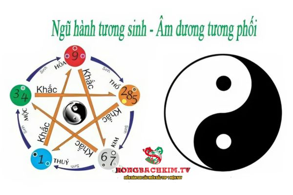 mệnh mộc hợp số nào