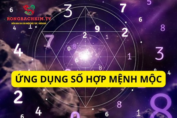 mệnh mộc hợp số nào
