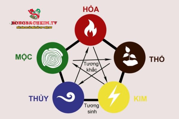 mệnh thổ hợp số nào
