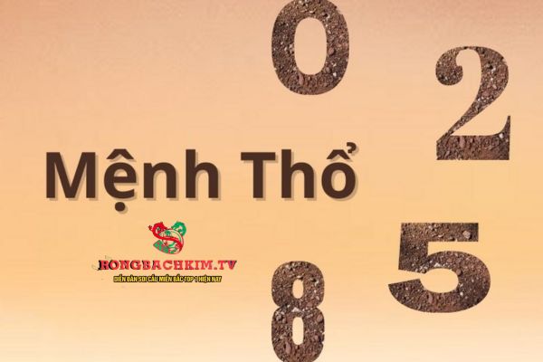 Trong phong thuỷ, mệnh Thổ thường sẽ hợp với những số như 2, 5, 8, 9
