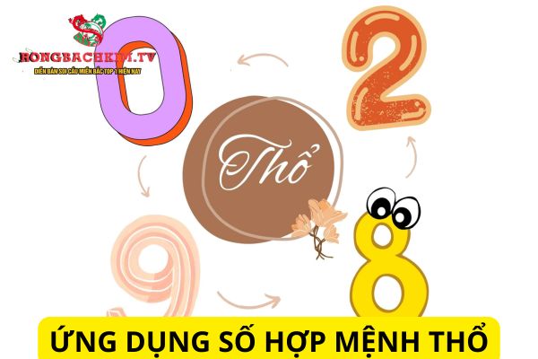 mệnh thổ hợp số nào