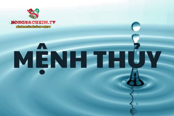 mệnh thủy hợp số nào