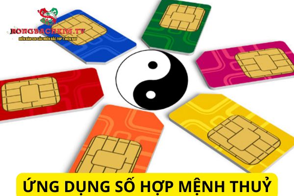 mệnh thủy hợp số nào