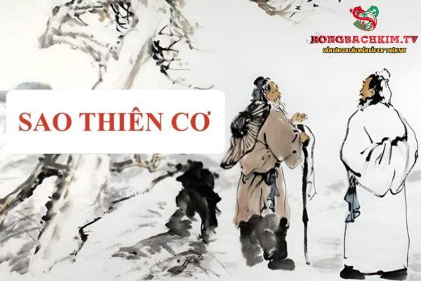 số mệnh thiên cơ là gì