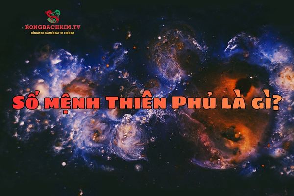 số mệnh thiên phủ là gì