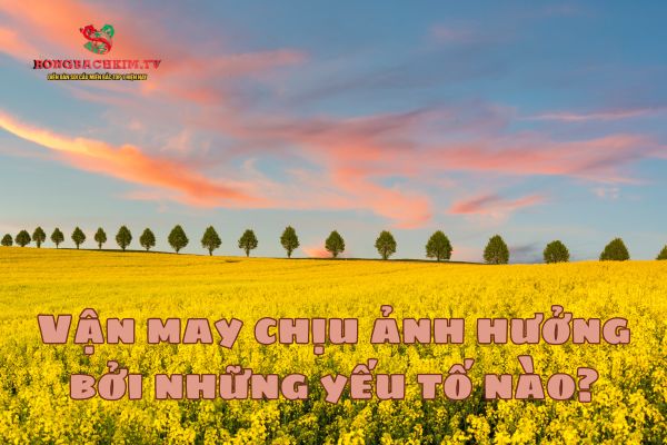 cách tăng vận may