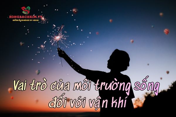 cải thiện vận mệnh cá nhân