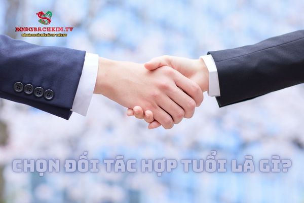chọn đối tác hợp tuổi