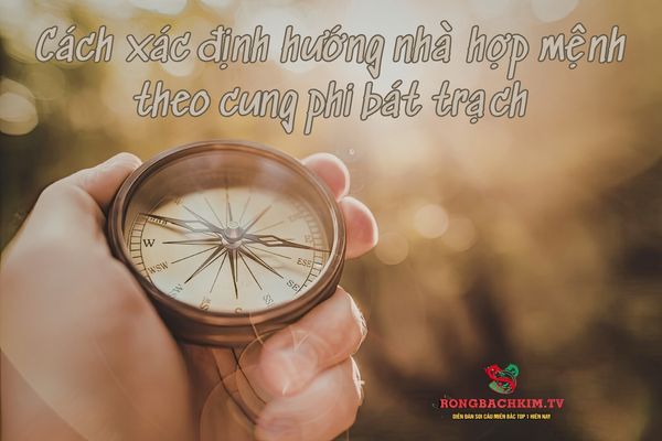 Hướng dẫn xác định hướng nhà theo cung phi bát trạch