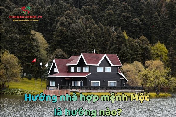 Những hướng nhà hợp mệnh Mộc