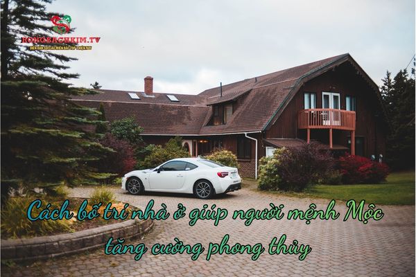 hướng nhà hợp mệnh mộc