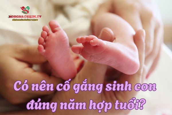 sinh con hợp tuổi