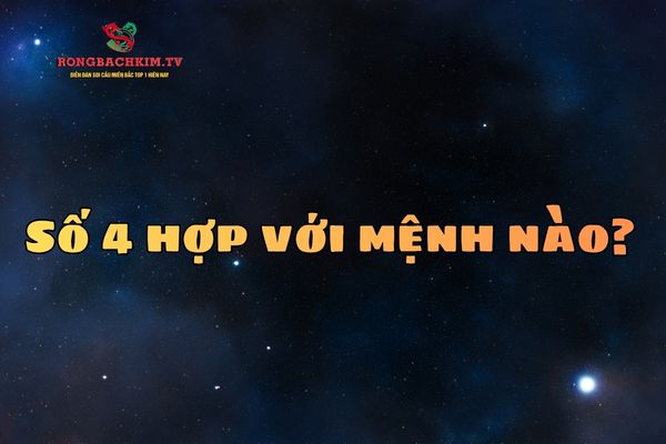 Số 4 hợp với nhiều mệnh khác nhau