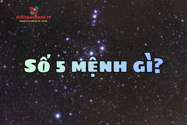 số 5 mệnh gì