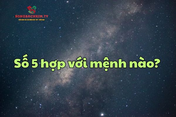 Khám phá những mệnh hợp với số 5