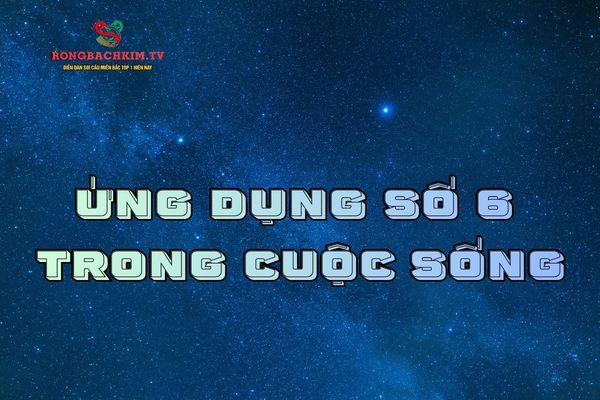 số 6 mệnh gì