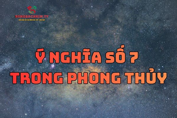 Số 7 tượng trưng cho trí tuệ, bản lĩnh và sự trưởng thành