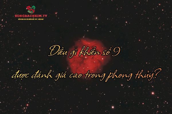 Số 9 là biểu tượng của quyền lực, thành công và sự trường tồn