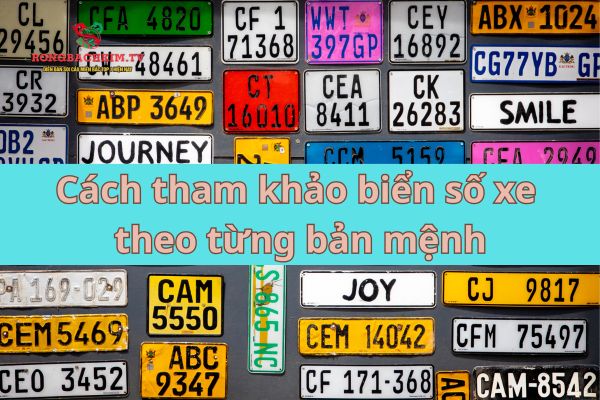 Hướng dẫn tham khảo biển số xe cho từng bản mệnh