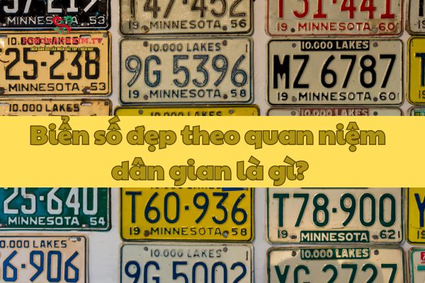tử vi chọn biển số xe