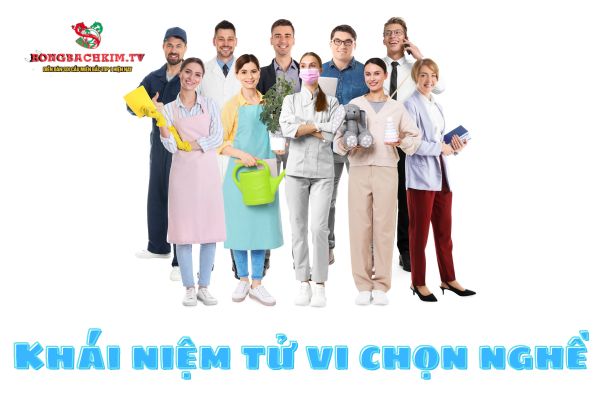 tử vi chọn nghề