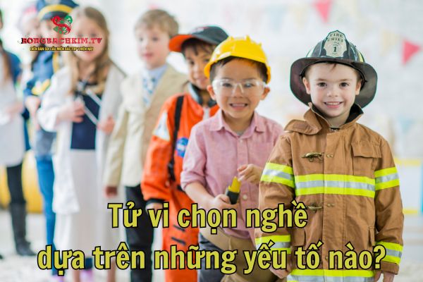 Luận giải về nghề nghiệp, tử vi thường dựa trên nhiều yếu tố