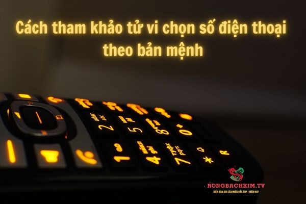 tử vi chọn số điện thoại