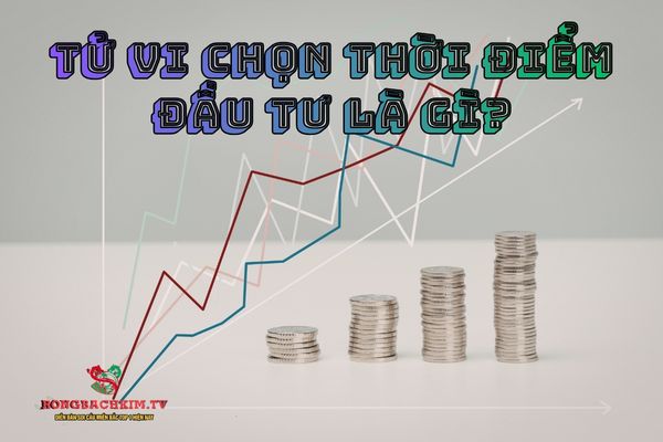 tử vi chọn thời điểm đầu tư