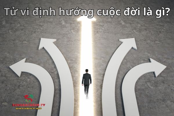 tử vi định hướng cuộc đời