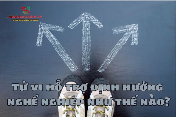 Tìm hiểu tử vi trong quá trình hỗ trợ định hướng nghề nghiệp