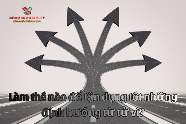 tử vi định hướng cuộc đời