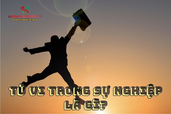tử vi trong sự nghiệp