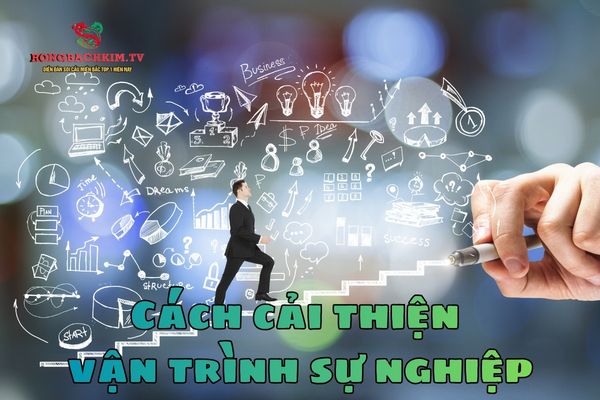 tử vi trong sự nghiệp