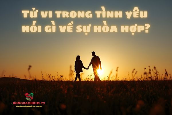 Sự hòa hợp của tử vi trong tình yêu